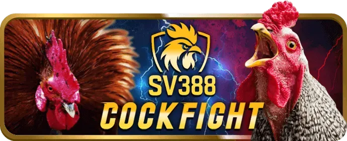 Quản lý tài khoản cá nhân 24/7 tại jjun88 win